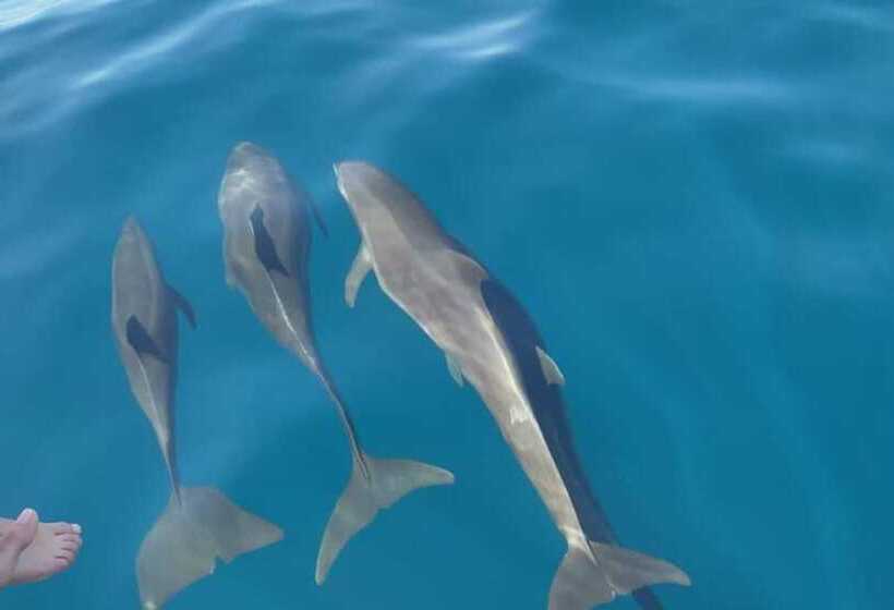 酒店 Bellavista Suites By Villas Verdes Samara Beach