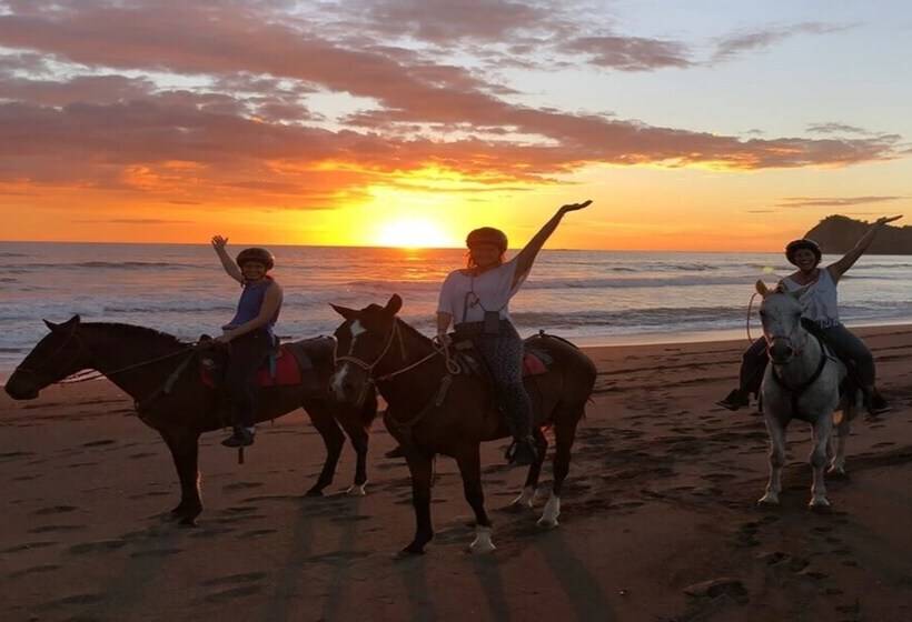 酒店 Bellavista Suites By Villas Verdes Samara Beach