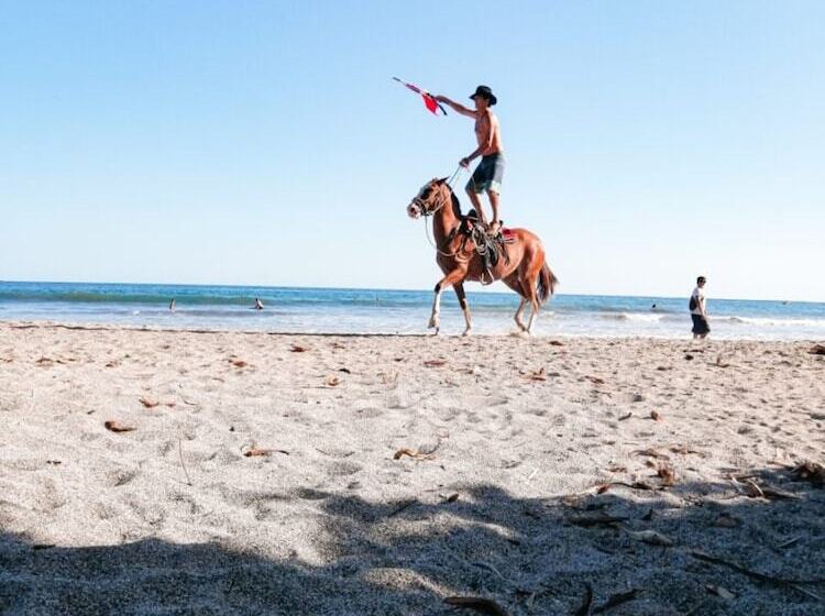 酒店 Bellavista Suites By Villas Verdes Samara Beach