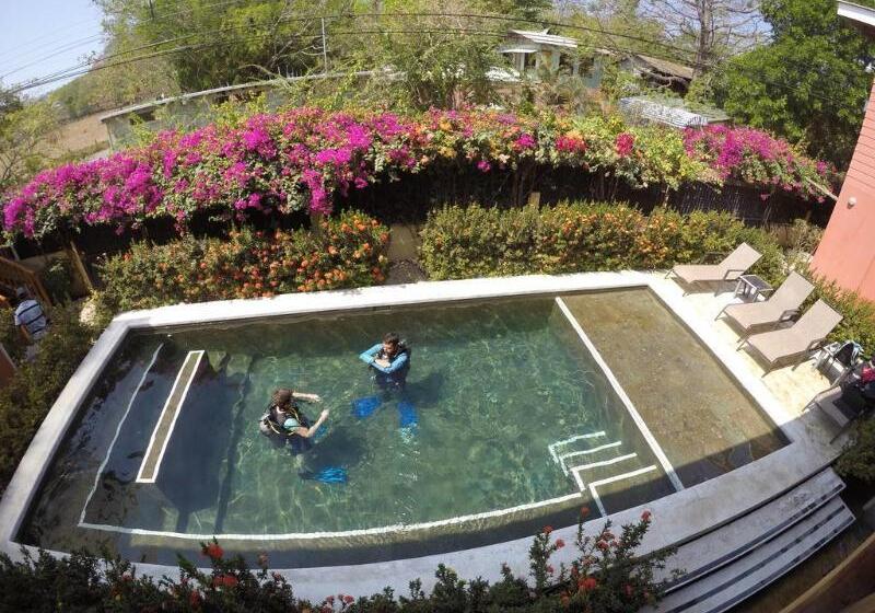 酒店 Bellavista Suites By Villas Verdes Samara Beach