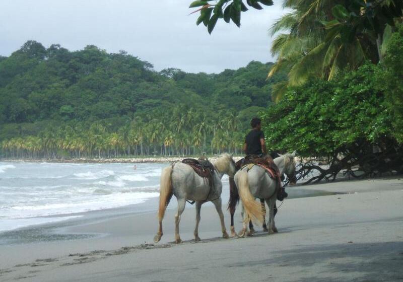 酒店 Bellavista Suites By Villas Verdes Samara Beach