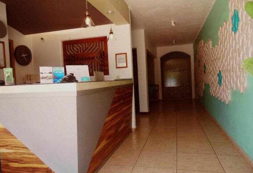 בית מלון כפרי Blater