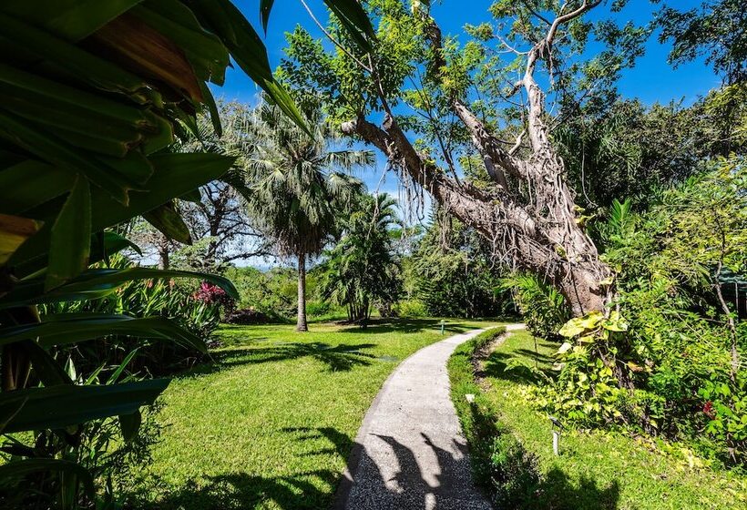 Boutique Hotel Luna Azul