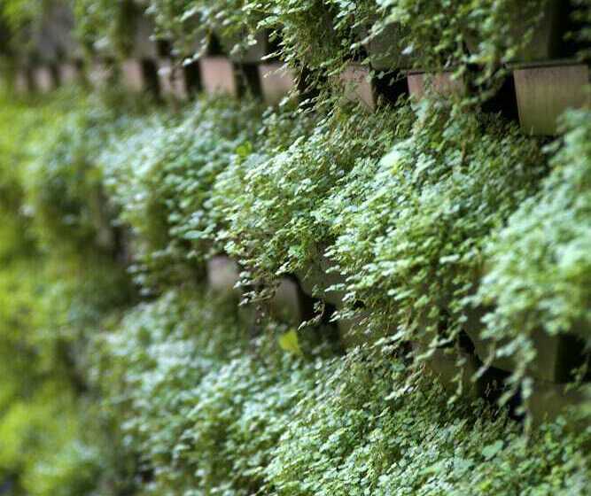 هتل Casa Bueras Boutique