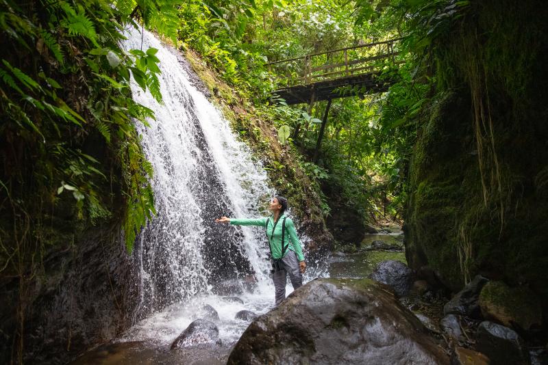 Chachagua Rainforest Hotel & Hot Springs