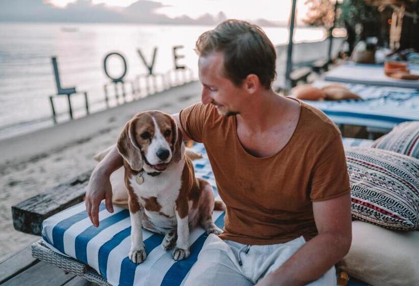 فندق Chantaramas Beach Resort, Koh Phangan