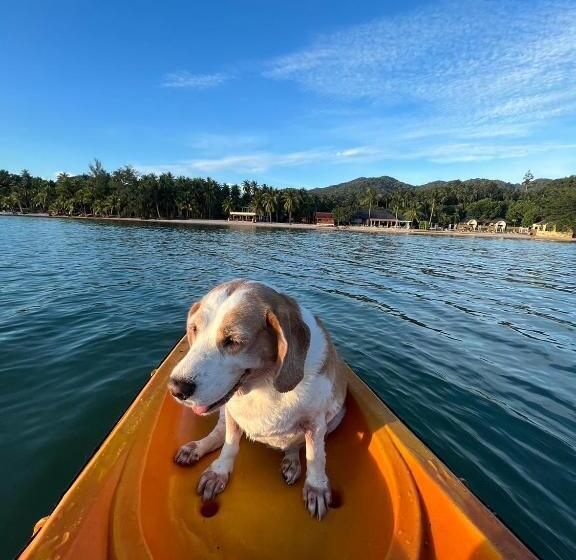فندق Chantaramas Beach Resort, Koh Phangan