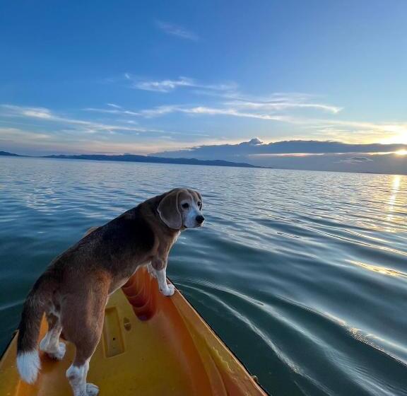 فندق Chantaramas Beach Resort, Koh Phangan