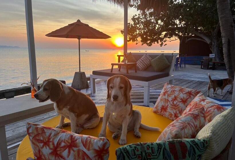 فندق Chantaramas Beach Resort, Koh Phangan