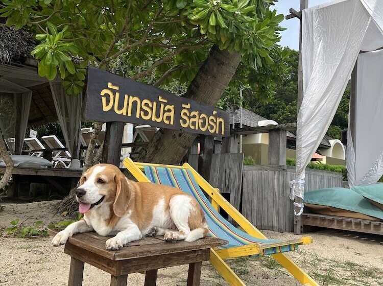 هتل Chantaramas Beach Resort, Koh Phangan