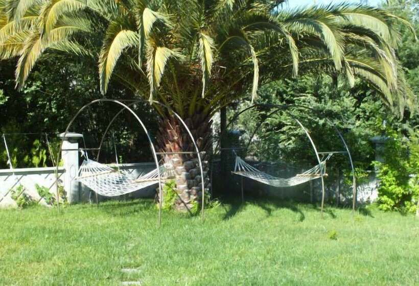 ホテル Dalyan Palmiye Resort