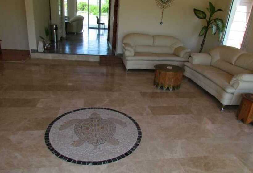 ホテル Dalyan Palmiye Resort