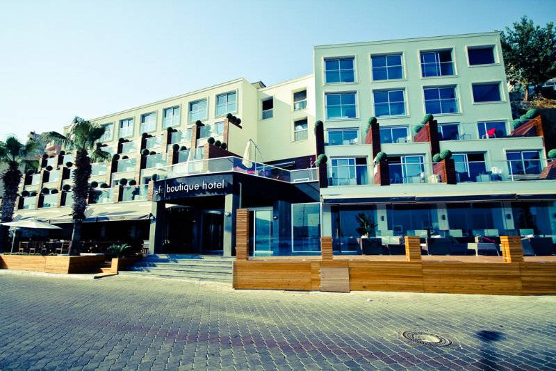 Отель Efe Boutique