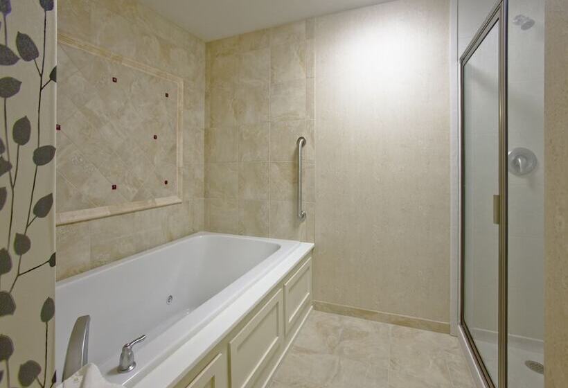 فندق Embassy Suites Buffalo