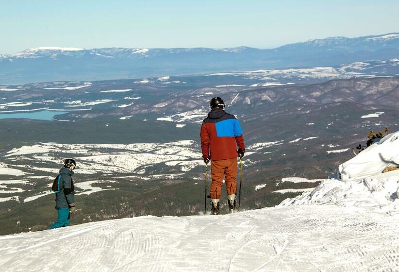 فندق Euphoria Club