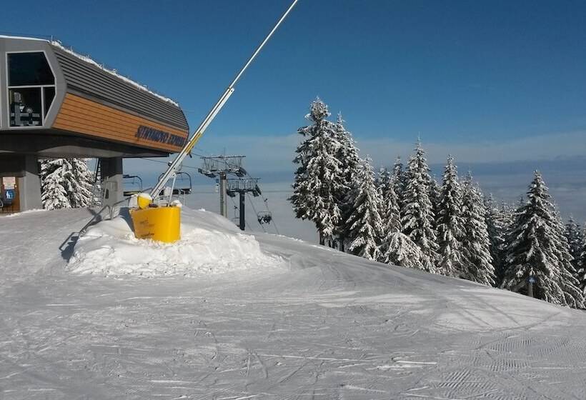 فندق Euphoria Club