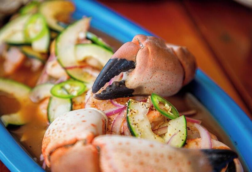 호텔 Hacienda Morelos Beachfront