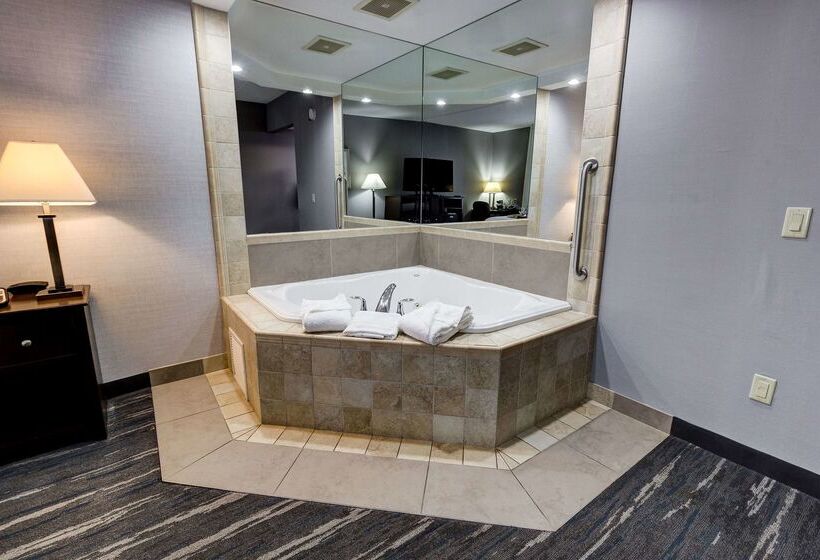 فندق Hampton Inn & Suites By Hilton Brantford Conference Centre