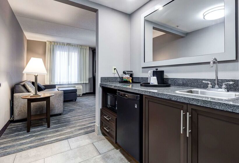 فندق Hampton Inn & Suites By Hilton Brantford Conference Centre
