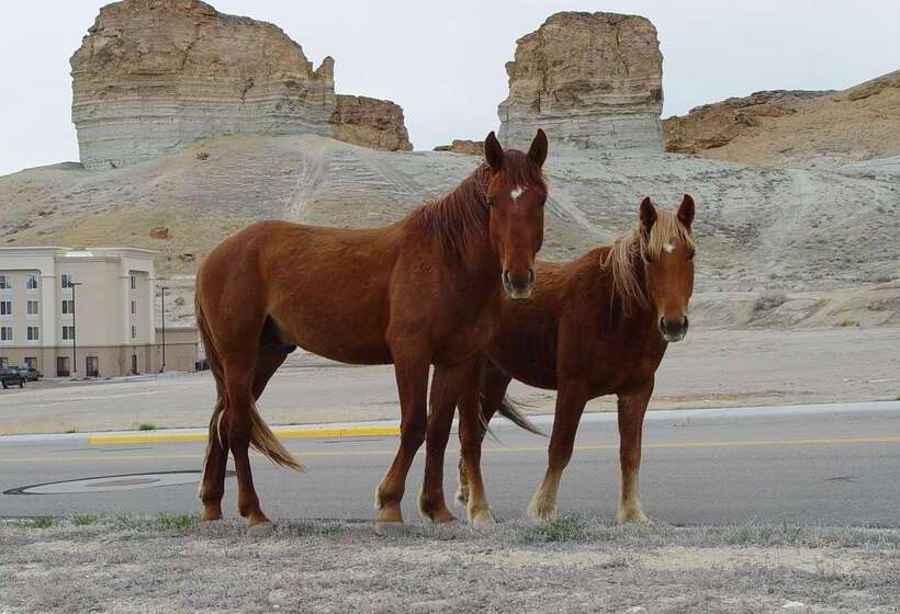 فندق Hampton Inn & Suites Green River