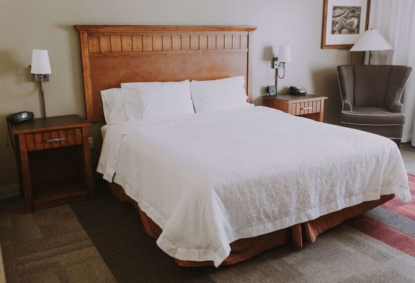 فندق Hampton Inn & Suites Green River