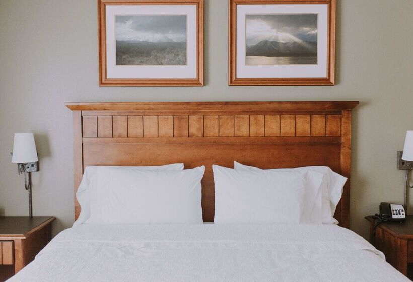 فندق Hampton Inn & Suites Green River