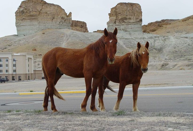 فندق Hampton Inn & Suites Green River