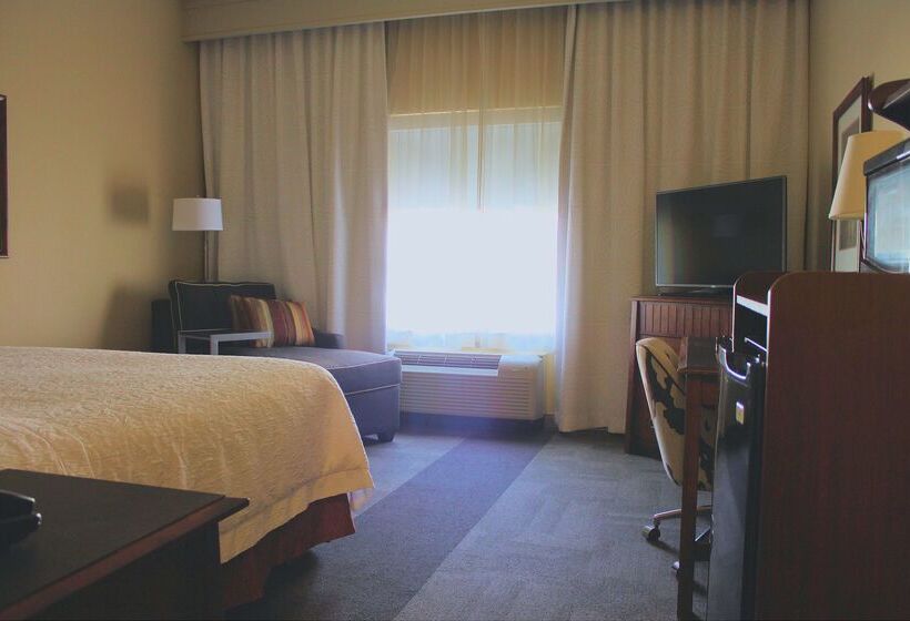 فندق Hampton Inn & Suites Green River