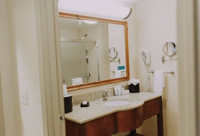 فندق Hampton Inn & Suites Green River