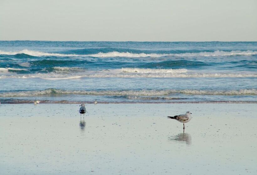 فندق Hampton Inn Daytona Shoresoceanfront