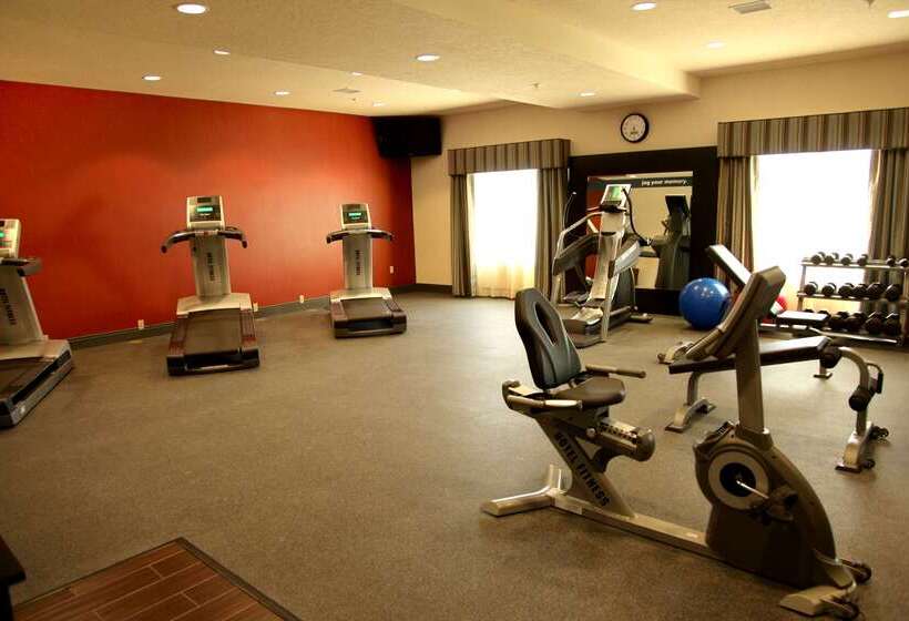 酒店 Hampton Inn & Suites Carlsbad