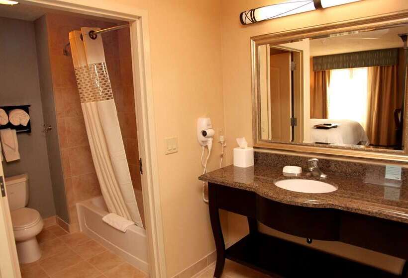 酒店 Hampton Inn & Suites Carlsbad