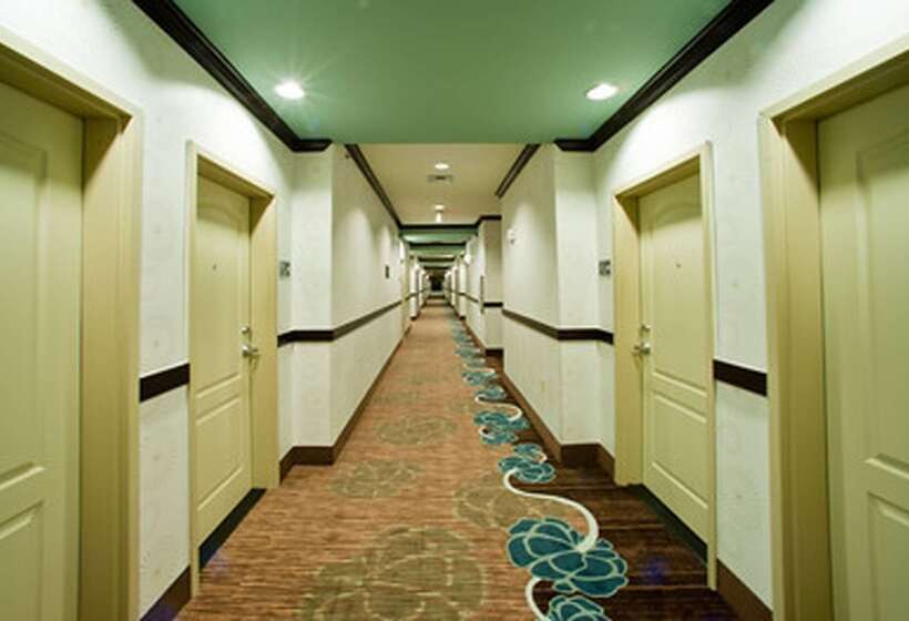 فندق Hampton Inn & Suites Denison