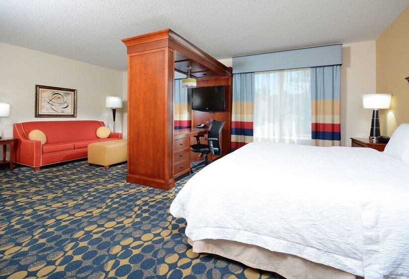 Отель Hampton Inn & Suites Huntersville