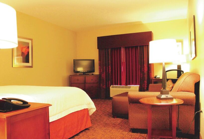 فندق Hampton Inn & Suites Mcallen