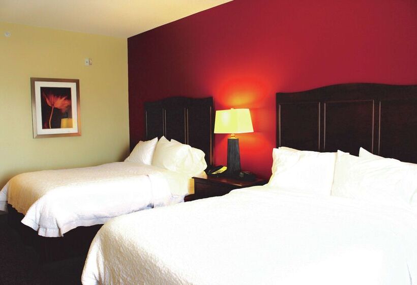 هتل Hampton Inn & Suites Mcallen