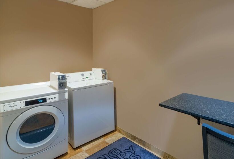 בית מלון כפרי Hampton Inn Suites Opelika I85 Auburn Area