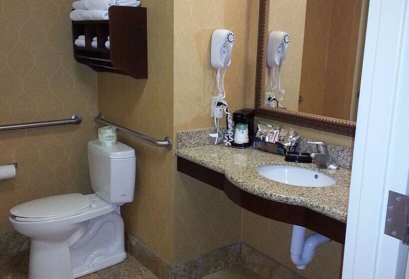 فندق Hampton Inn & Suites Sevierville @ Stadium Drive