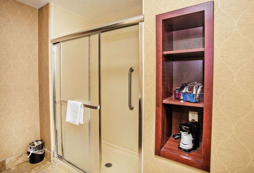 ホテル Hampton Inn & Suites Sevierville @ Stadium Drive