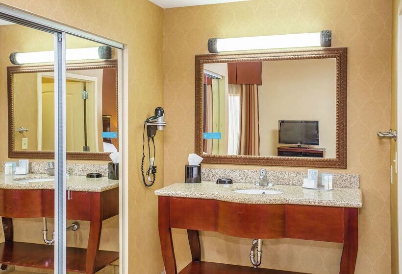 فندق Hampton Inn & Suites Sevierville @ Stadium Drive