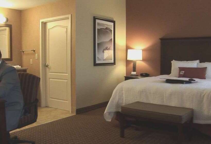 فندق Hampton Inn & Suites Sevierville @ Stadium Drive