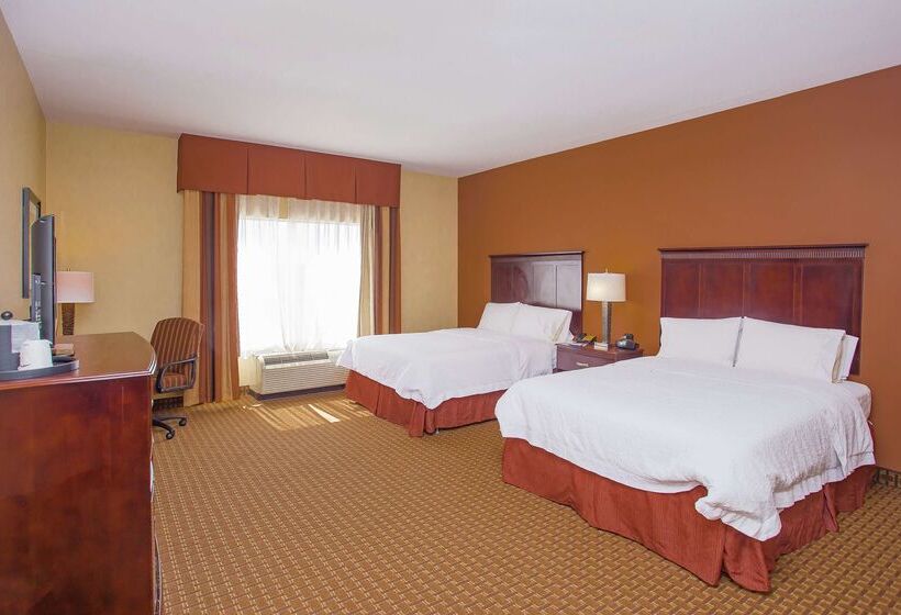 ホテル Hampton Inn & Suites Sevierville @ Stadium Drive