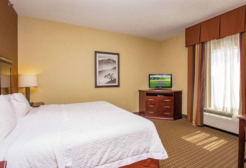 فندق Hampton Inn & Suites Sevierville @ Stadium Drive