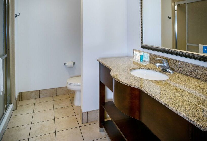 هتل Hampton Inn & Suites Toledoperrysburg