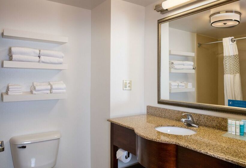 هتل Hampton Inn & Suites Toledoperrysburg