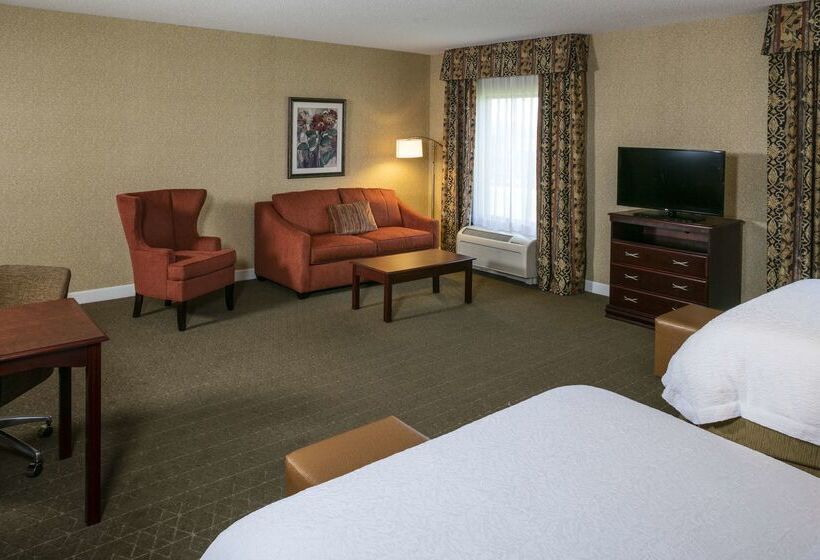 هتل Hampton Inn & Suites Toledoperrysburg