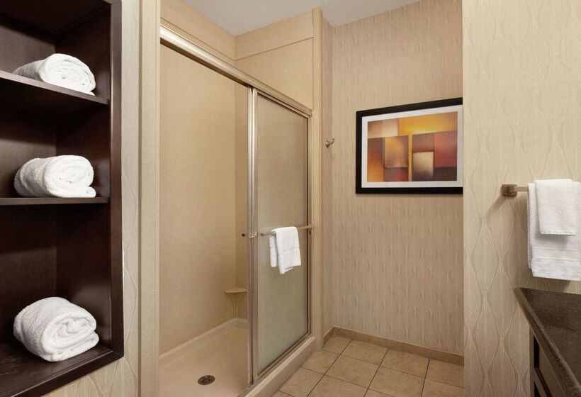 Отель Hampton Inn Sulphur Springs
