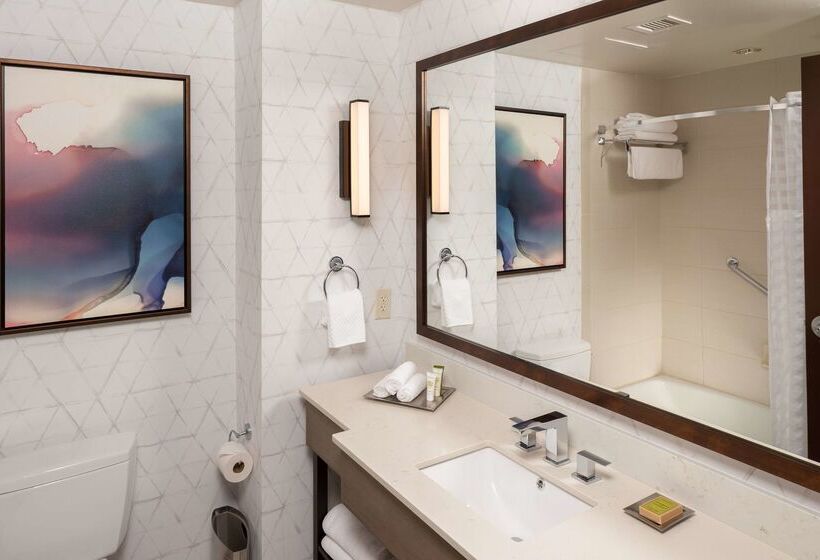 هتل Hilton Asheville Biltmore Park