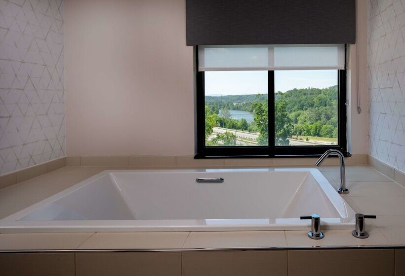 호텔 Hilton Asheville Biltmore Park