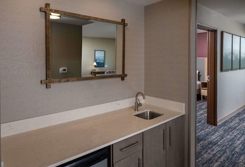 호텔 Hilton Asheville Biltmore Park